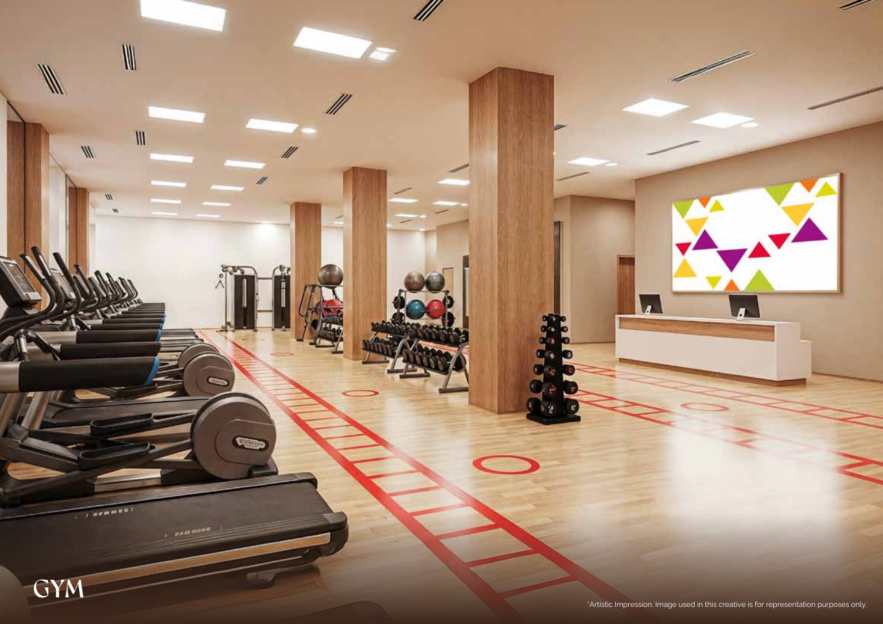 Professional Gym